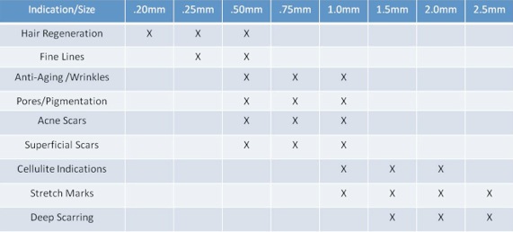 Micro Needling Chart